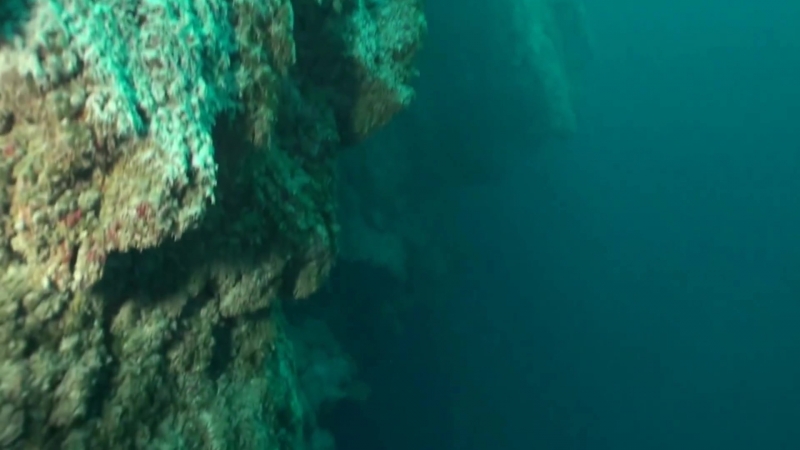 Exploring Mysterious and Enigmatic Belize Great Blue