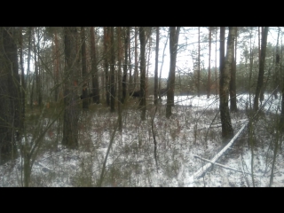 MOV_0214