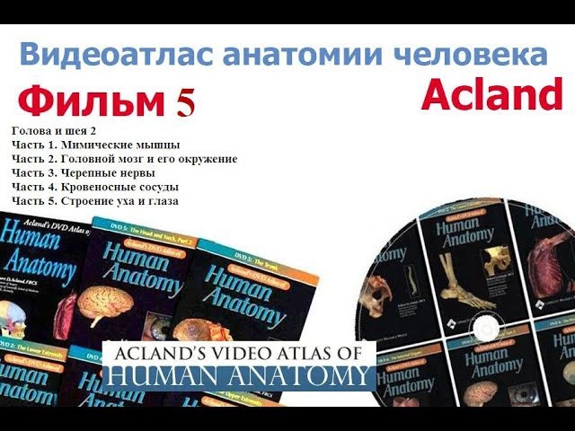 Анатомия Победы Интернет Магазин
