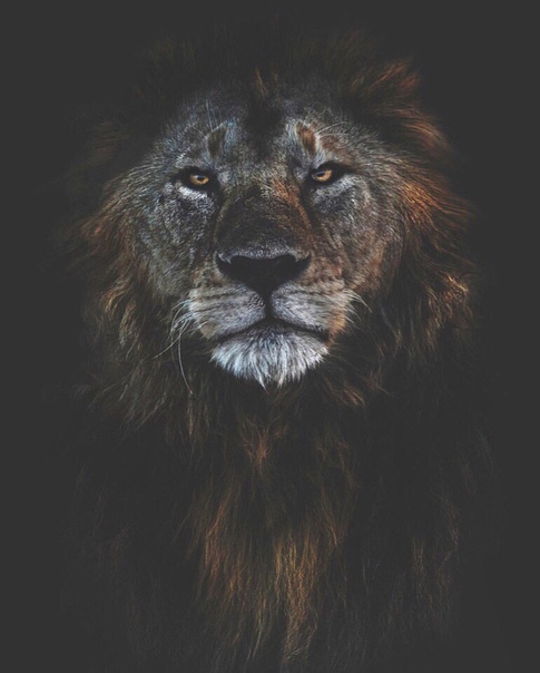 Kamal Dursunov, Грузия, Батуми