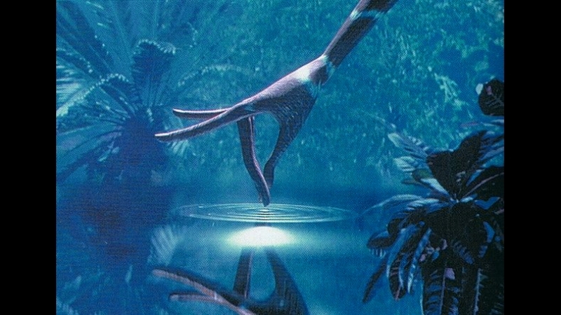 Воображаемая опера, LOpéra Imaginaire (1993) Паскаль Рулен, Pascal Roulin