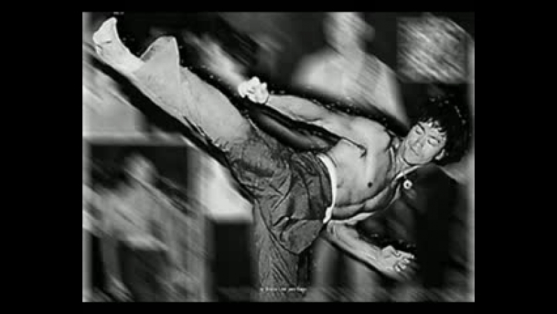 The Legendary fighter Bruce Lee
