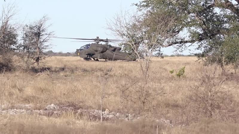 Pegasus Forge IV BN STX FORT HOOD, TX, UNITED