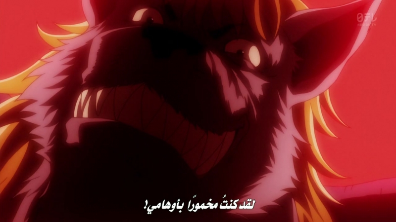 Hunter x Hunter (2011)