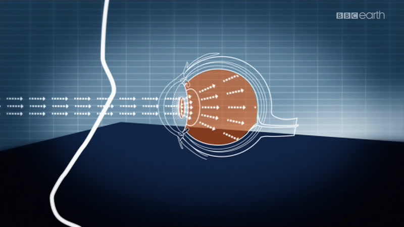 Твое тело. 10 секретов сна, 10 Things You Need To Know About Sleep (2009) (док.