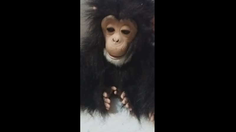 20190920_205654.mp4