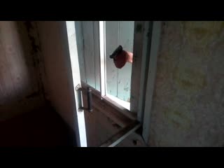 Russian special forces check the window watch online free without sms and registration.