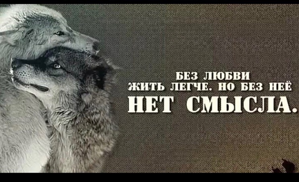 �������� � �������� ��� ���� ��� ������ ����, ��������