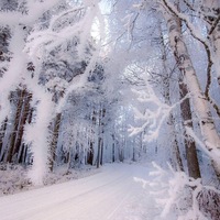 Татьяна Слесарева