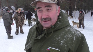 выводка, испытания и много лаек
