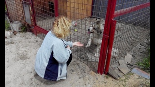 Dog Tyra has its own cozy booth with a small courtyard. She learns to execute commands ...