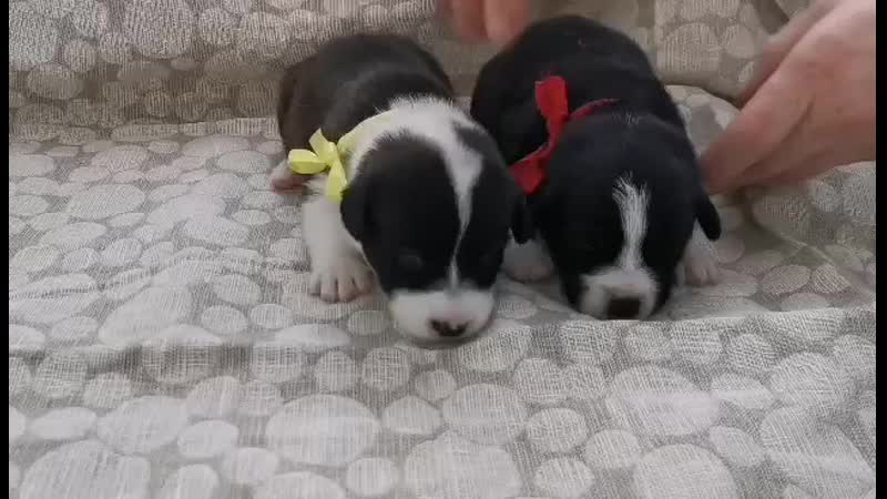 Received_509475843322021.mp4