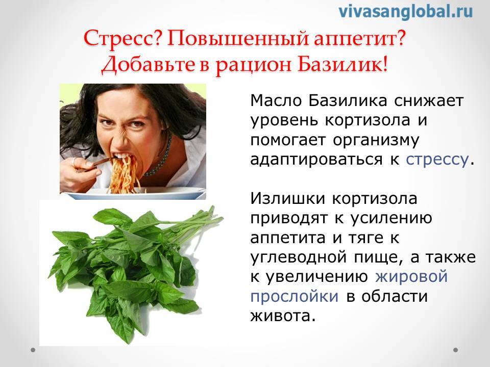 Эфирное масло БАЗИЛИК, изображение №1