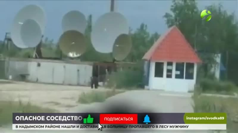 В Пангодах нашествие медведей В Пангодах местным жителям