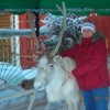 Аватар: Евгения Шелопаева