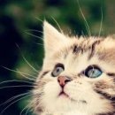 №3, Лариса Дулова, 44 года, Санкт-Петербург №3, Лариса Дулова, 44 года, Санкт-Петербург