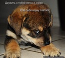Фотография Кузнецова Максима