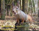 Фотография Егорова Андрея