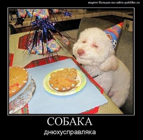 Анастасия Калинина | 