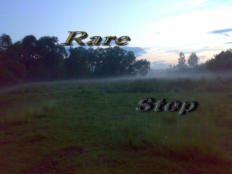 Степан Вірстюк _Х_Rare_X_Fire_Х_ | Ивано-Франковск