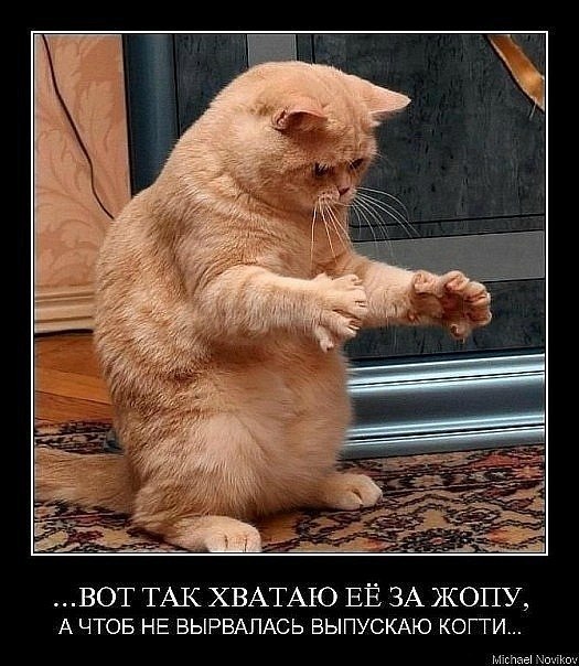 Максим Акимов | 