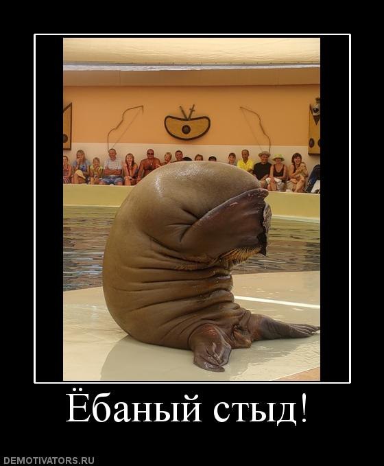 Илья Быхун | Одесса