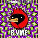 Юрий Сибиряков, 37 лет, 10.04.1988