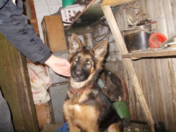 №41, Евгений Швецов, 43 года, Зеленоградск №41, Евгений Швецов, 43 года, Зеленоградск