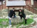 Дмитрий Руднев фотография #38