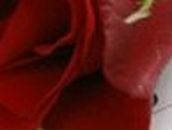 Анна Стаценко ღ | Рай (деревня)