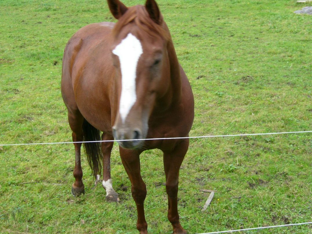 Olga Alabuzheva | Ижевск