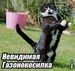 Вова Хамастханов фотография #27