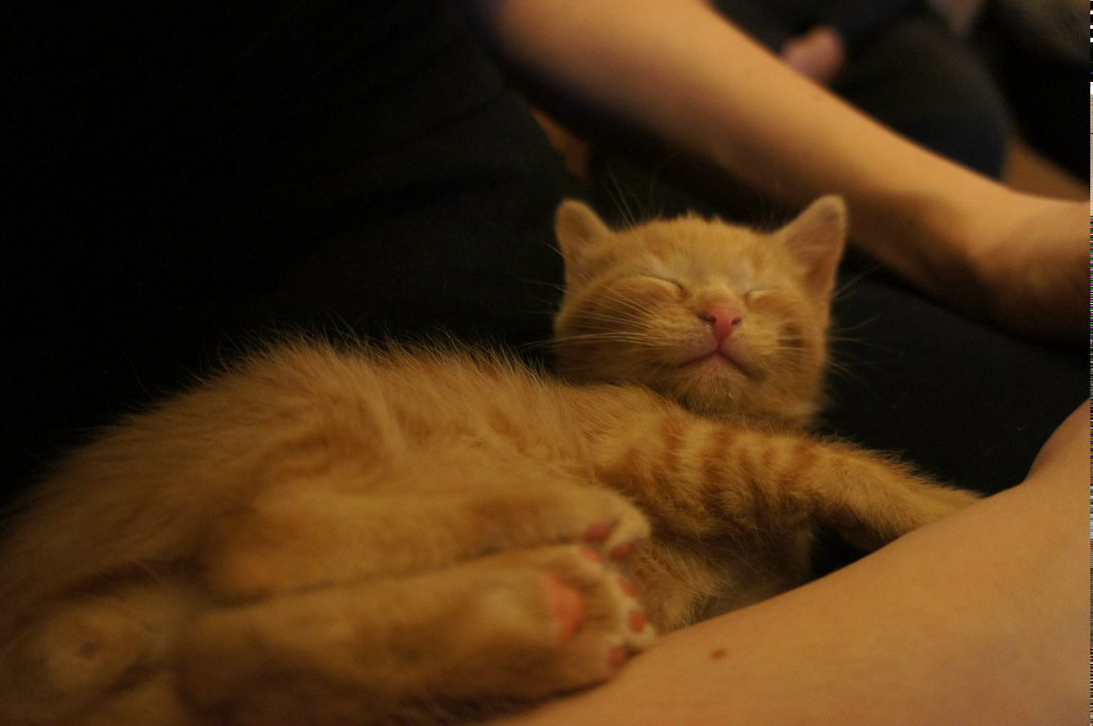 Юлия Еремеевская | Санкт-Петербург