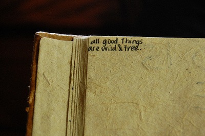 №194, Юля Тесля, Киев №194, Юля Тесля, Киев