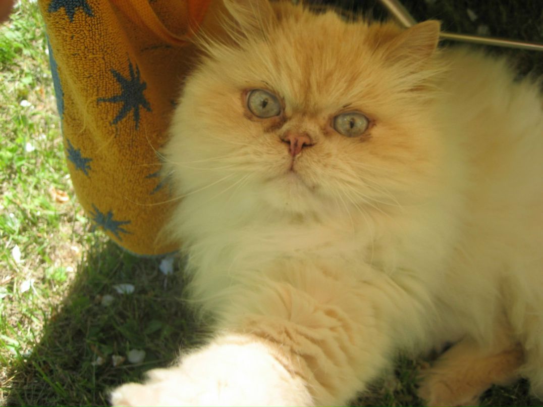 Юрий Блинников | Рига