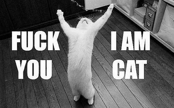 Сергей Пикалов | Ставрополь