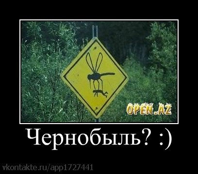 Васиф Мовсумзаде | Magdeburg