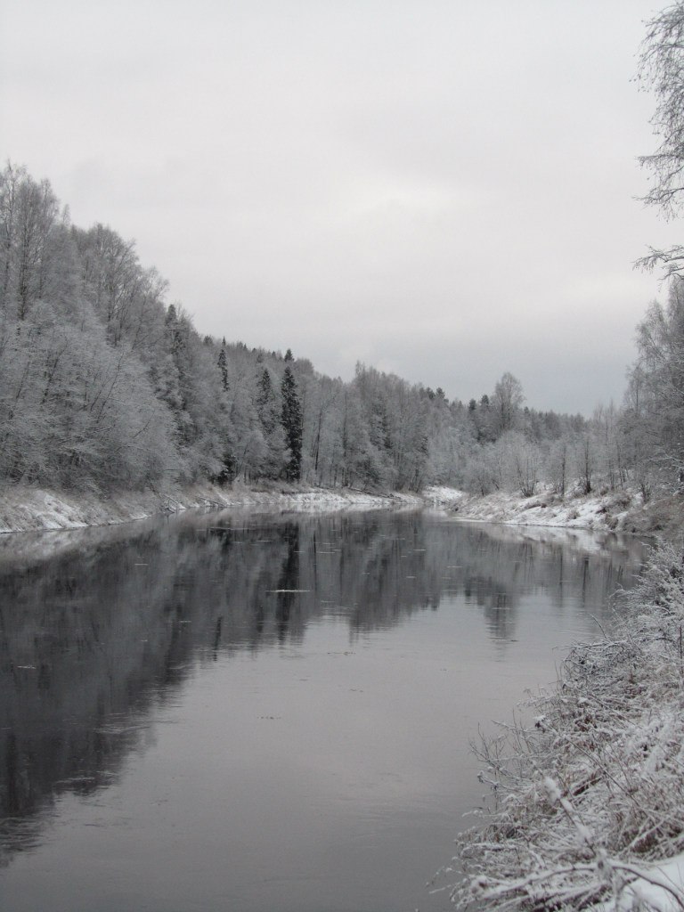 Алексей Соколов | Санкт-Петербург