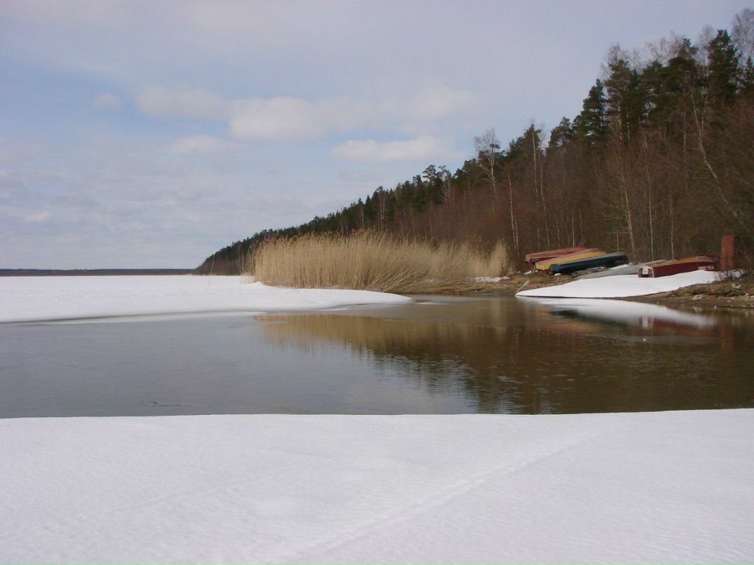 Евгений Осипов | Петрозаводск