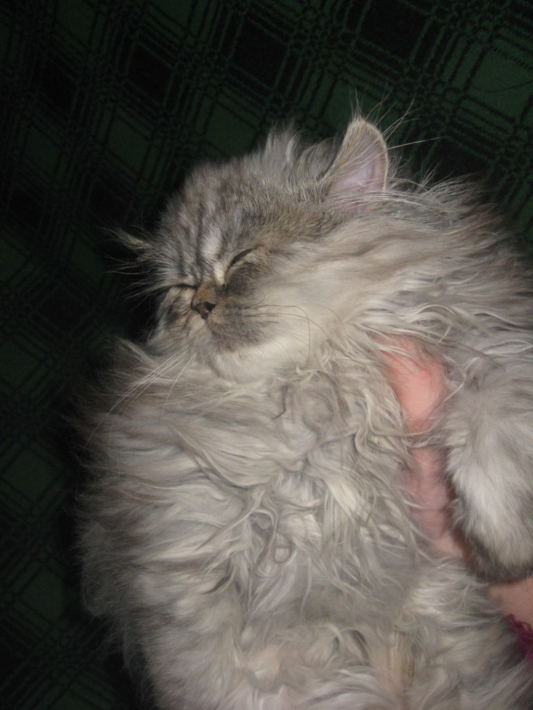 Александр Секисов | Санкт-Петербург