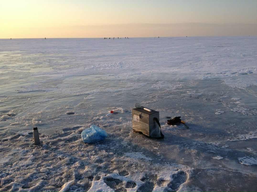 Андрей Андриевский | Chicago