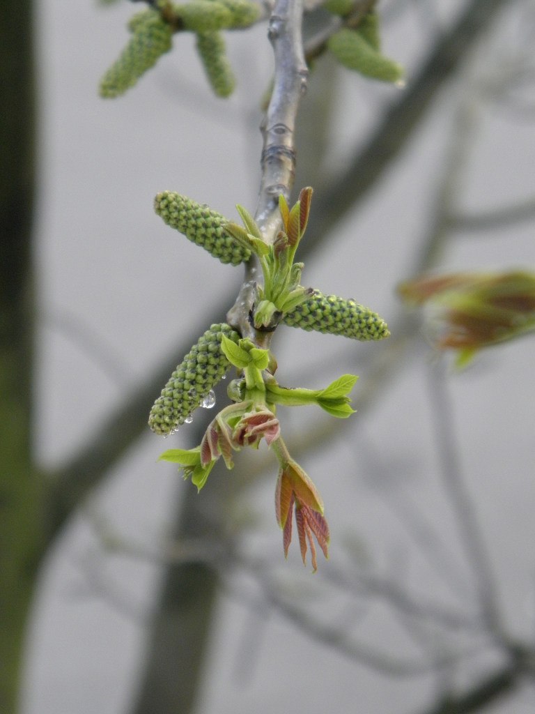 Артур Вовк | Донецк