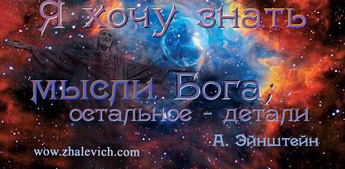 №48, Андрей Жалевич №48, Андрей Жалевич