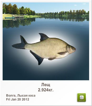 Дмитрий Яковлев | Нефтекамск