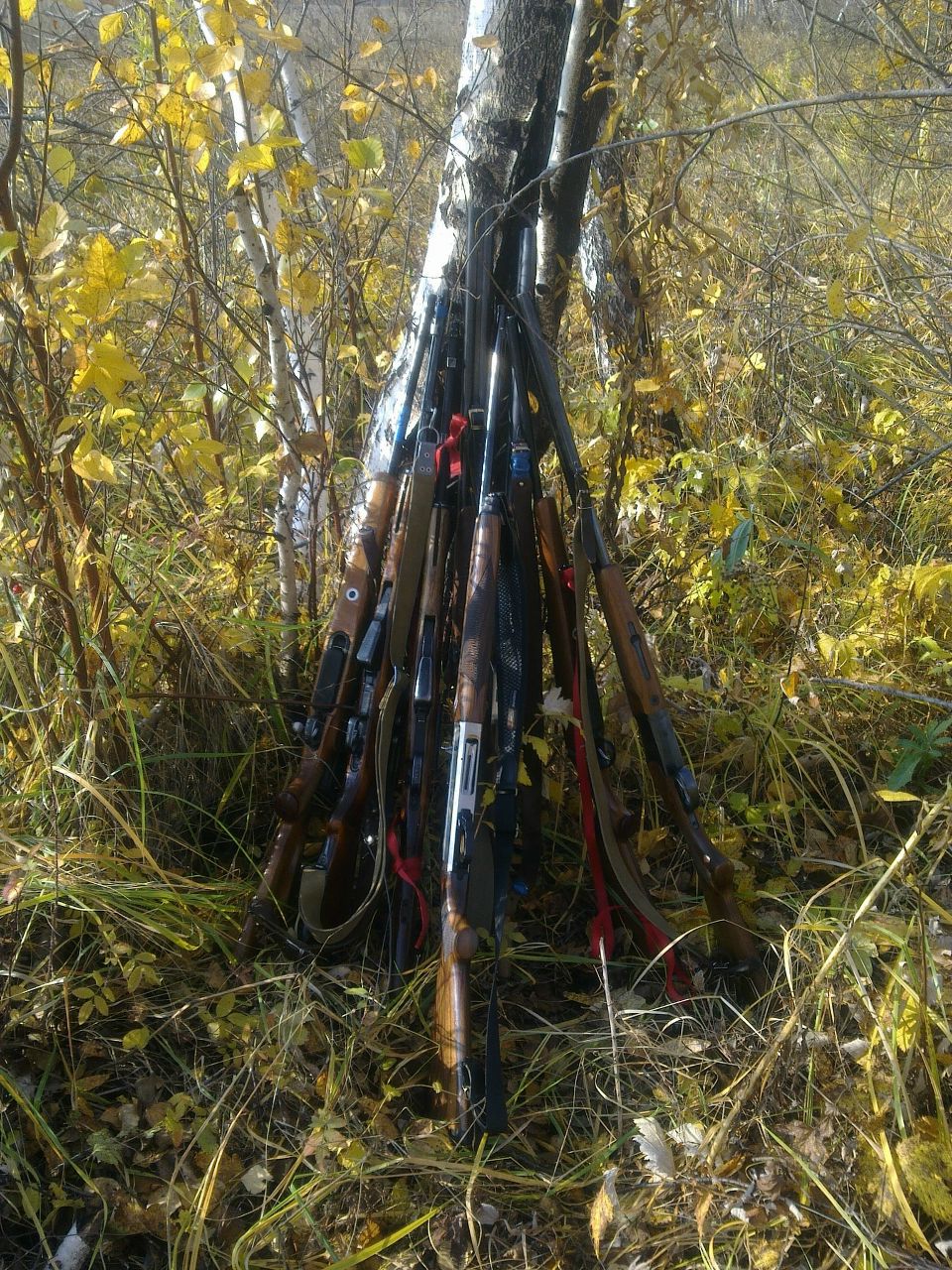 Андрей Калашников | 