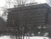 Алена Трегуб фотография #33