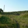 Аватар: Илья Яковлев