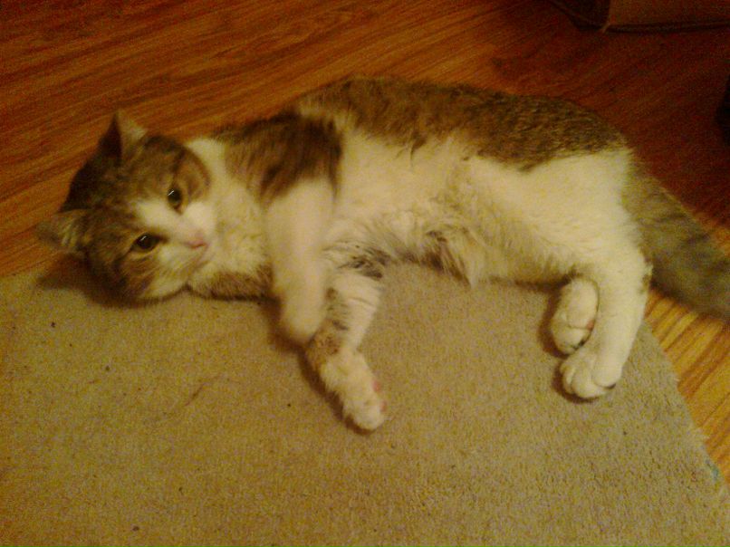 Марина Самборская | Wien