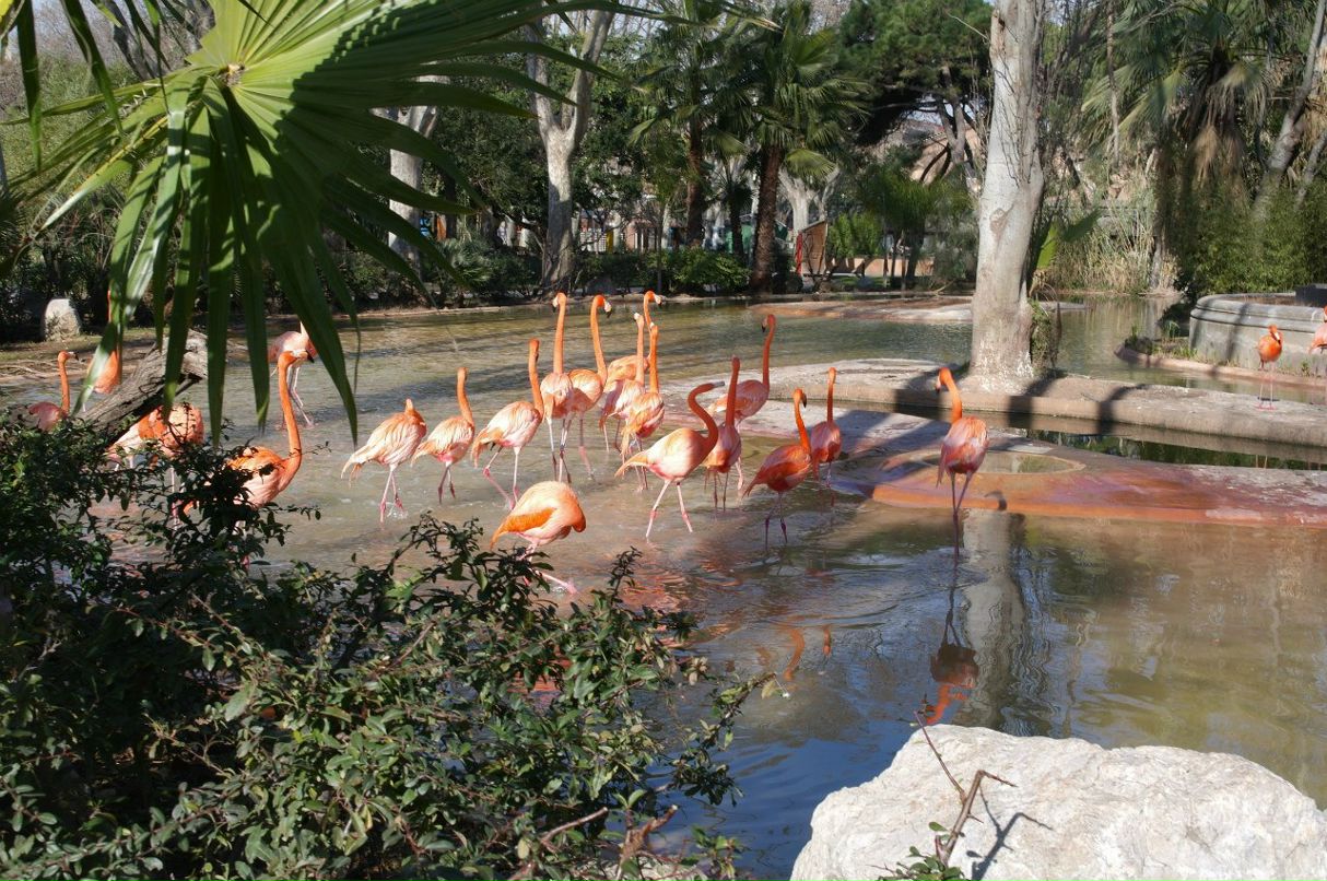 Ekaterina Strelnikova | Рига