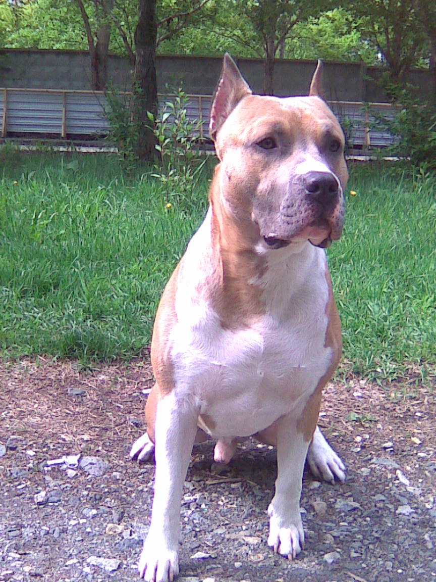 Елена Карпова | Екатеринбург